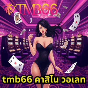 tmb66 คาสิโน วอเลท