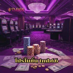 โปรโมชั่น tmb66